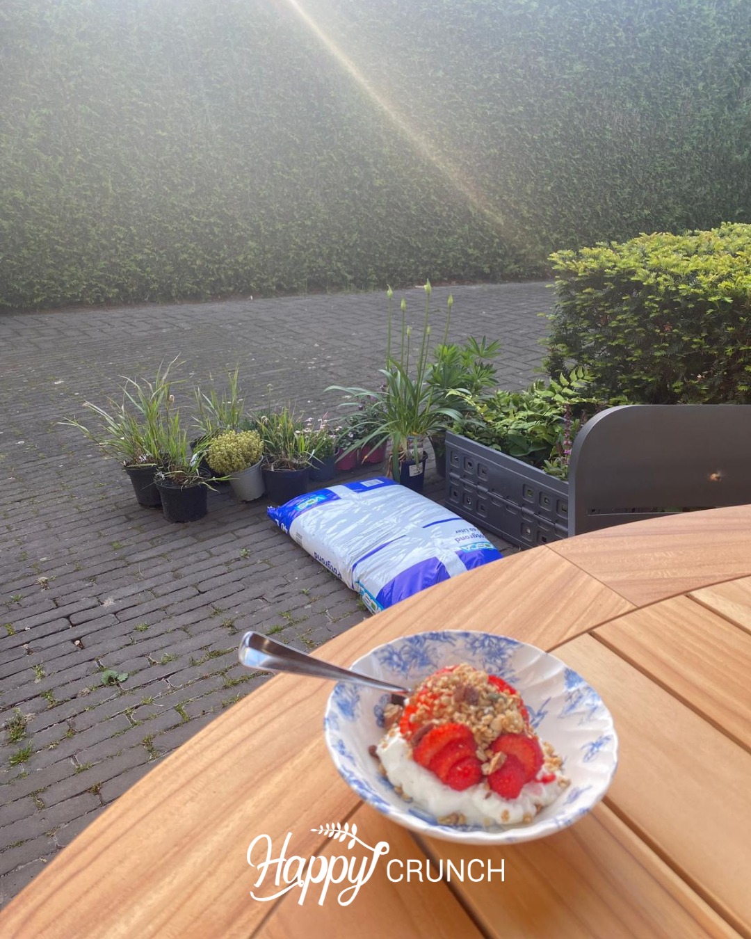 Zooo lekker… aardbeien bij het ontbijt 🍓🥣 Kwark, verse aardbeien en een beetje granola, een frisse en gezonde start van de dag.

Eerst even rustig ontbijten in het zonnetje en daarna de tuin in om de nieuwe plantjes een plekje te geven 🌱☀️ Lekker begin van het weekend!

Hoe ziet jouw weekend eruit?

Angelique 👩🏼‍🍳

#aardbeien #gezondontbijt #voorjaar #lentegevoel #happycrunch #granola #ontbijtinspiratie #gezondleven #tuinieren #genieten #seizoensfruit